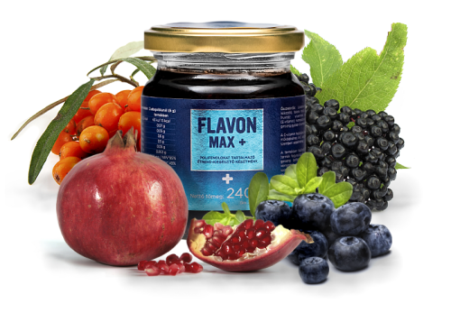 flavon-max-plus.png